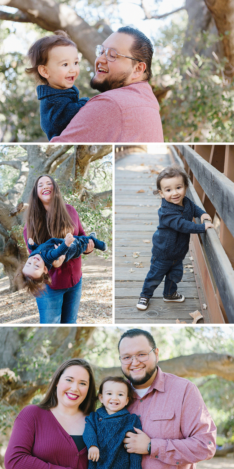 One Year Old Photo Session