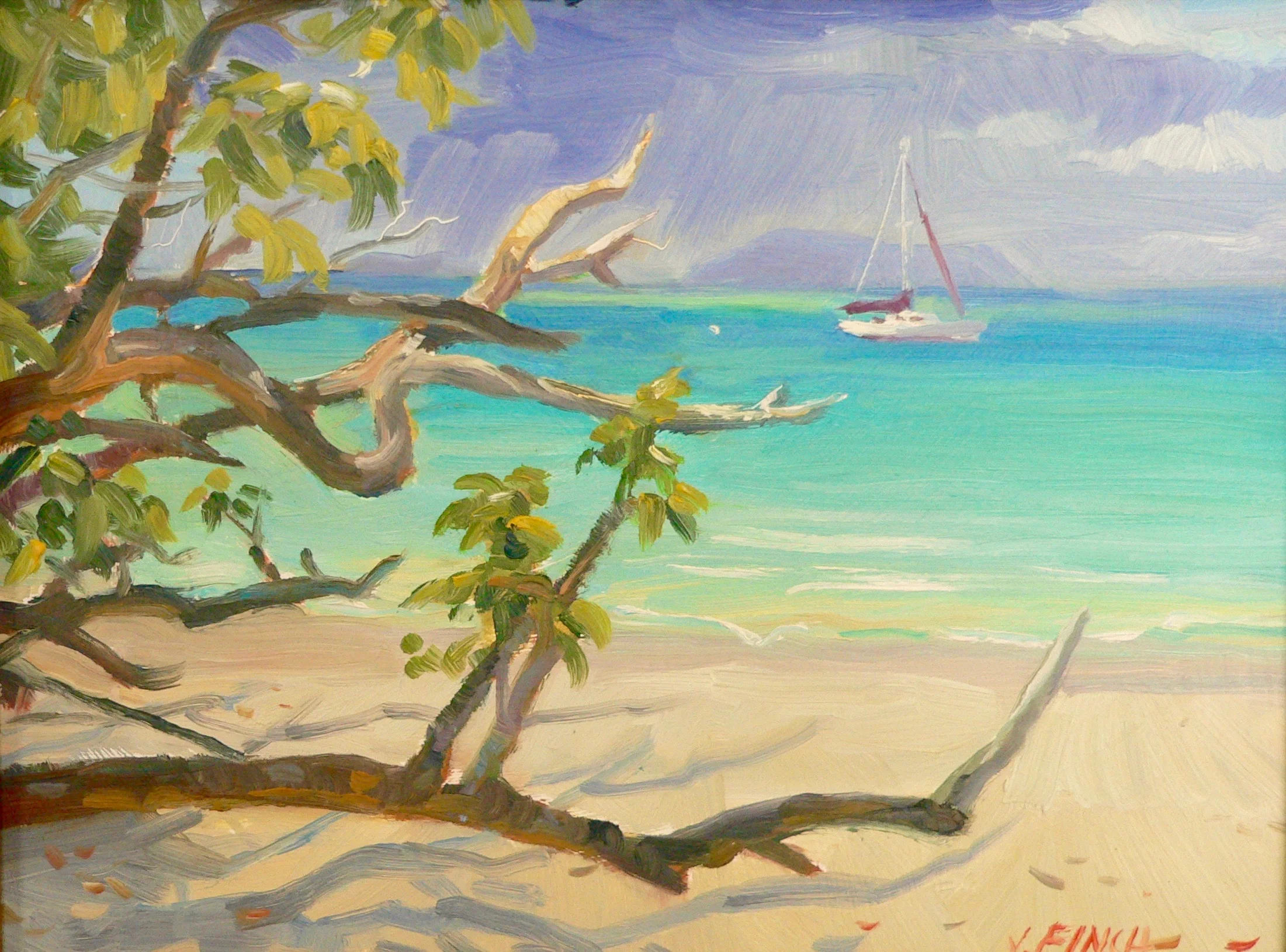 P1000233.jpg