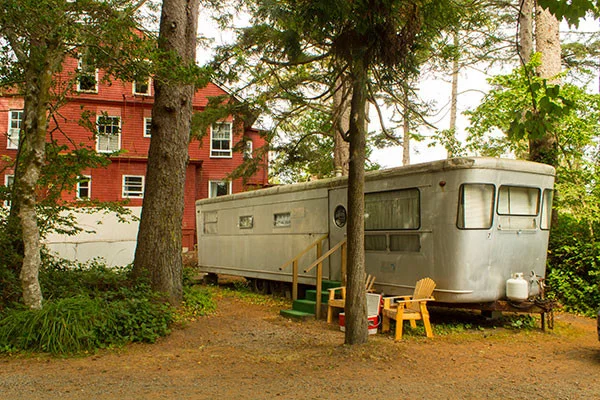 Picnic-600x400 (1).jpg