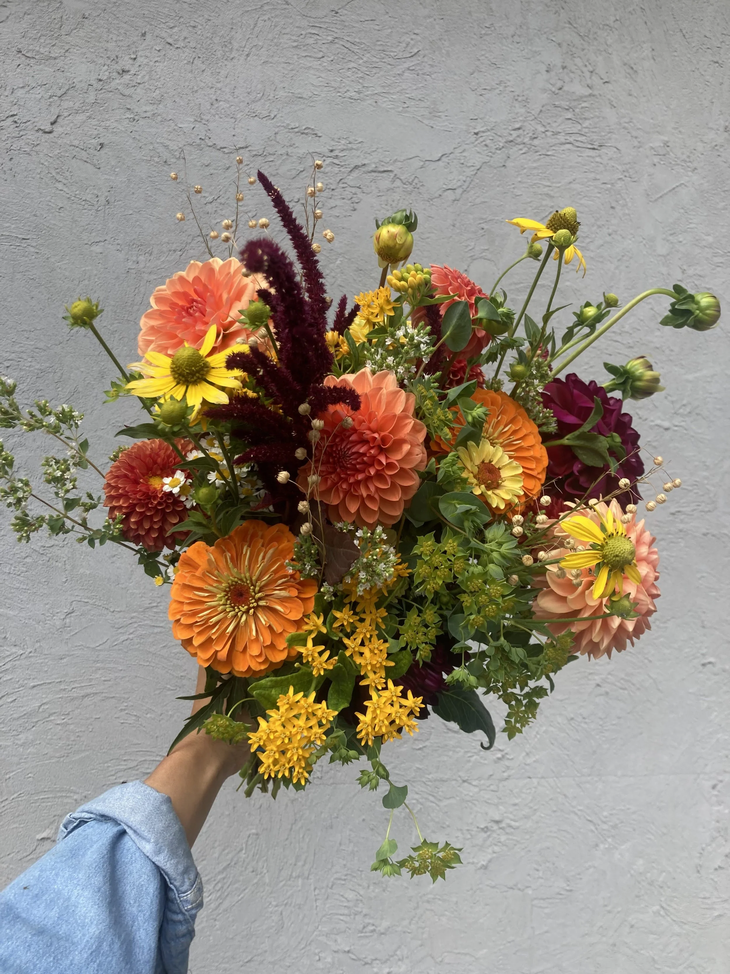 Full CSA Subscription - 25 Weeks