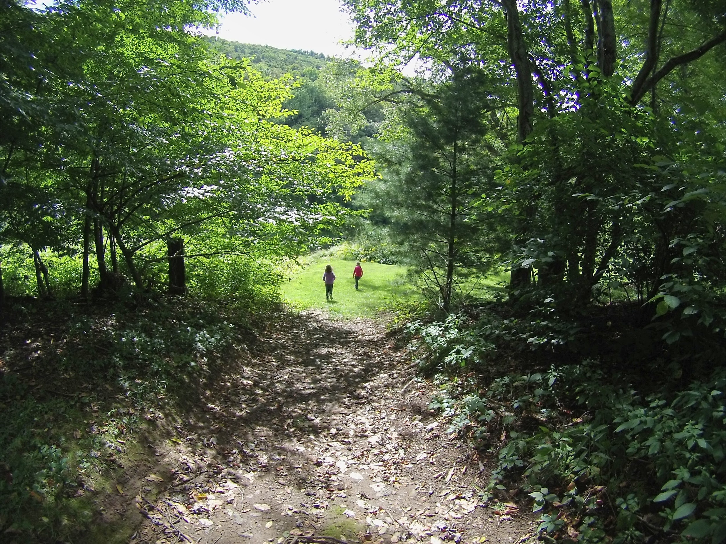 Keep walking until you see the small road.