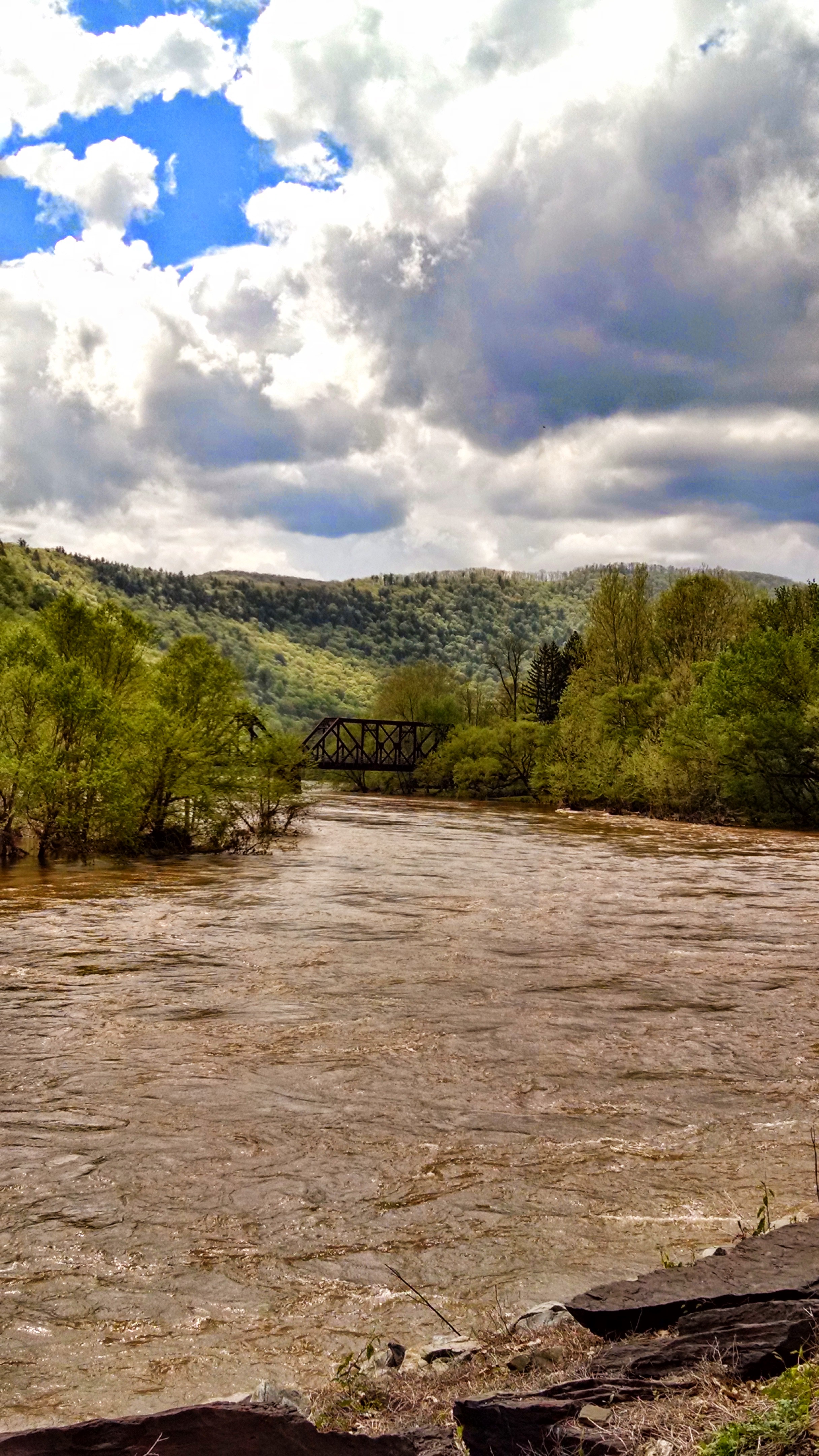Pine Creek high water during spring of 2014.