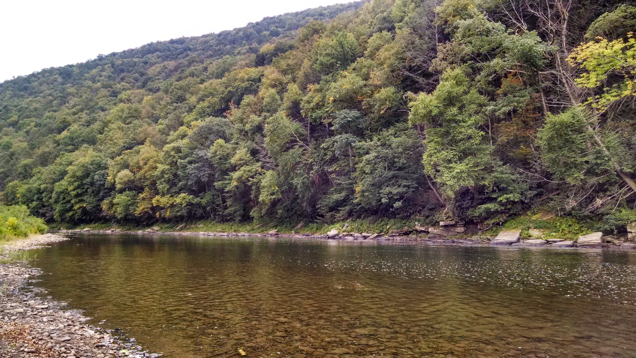 Large area for swimming, kayaking, and fishing.