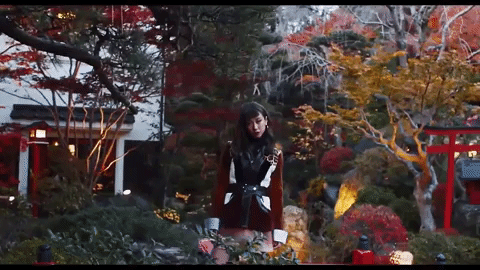 giphy (4).gif