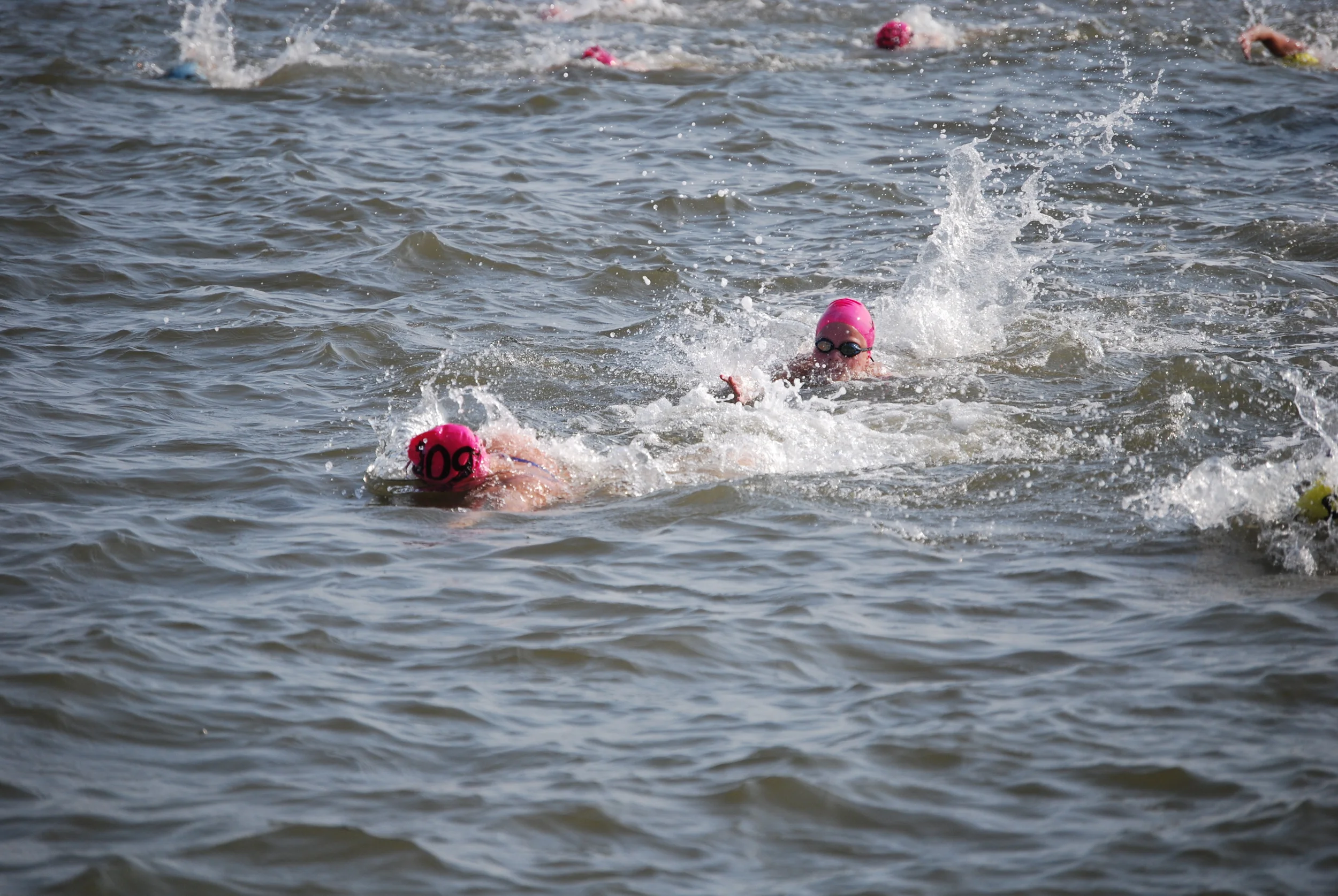 2008_Lowcountry_Splash_Swim_Race_Swimmers_4.JPG