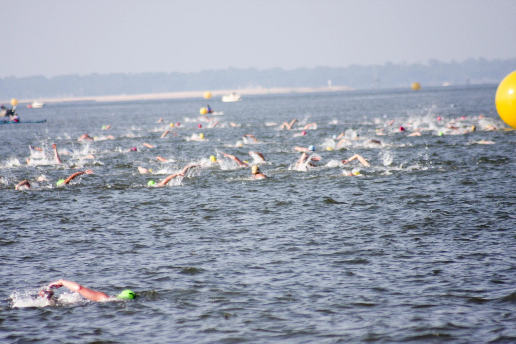 2008_Lowcountry_Splash_Swim_Race_Swimmers_9.jpg