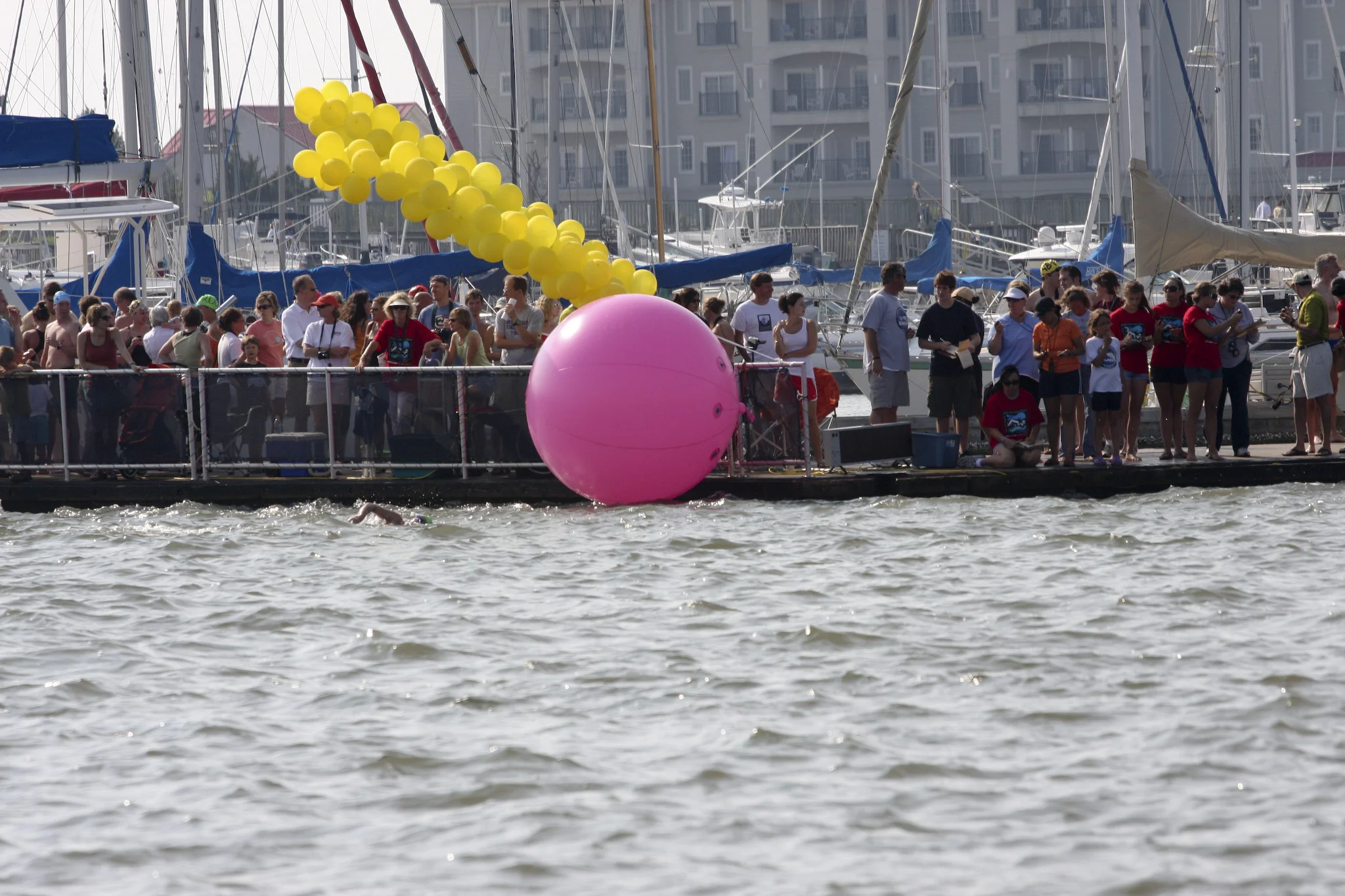 2008_Lowcountry_Splash_Swim_Race_Finish_2.jpg