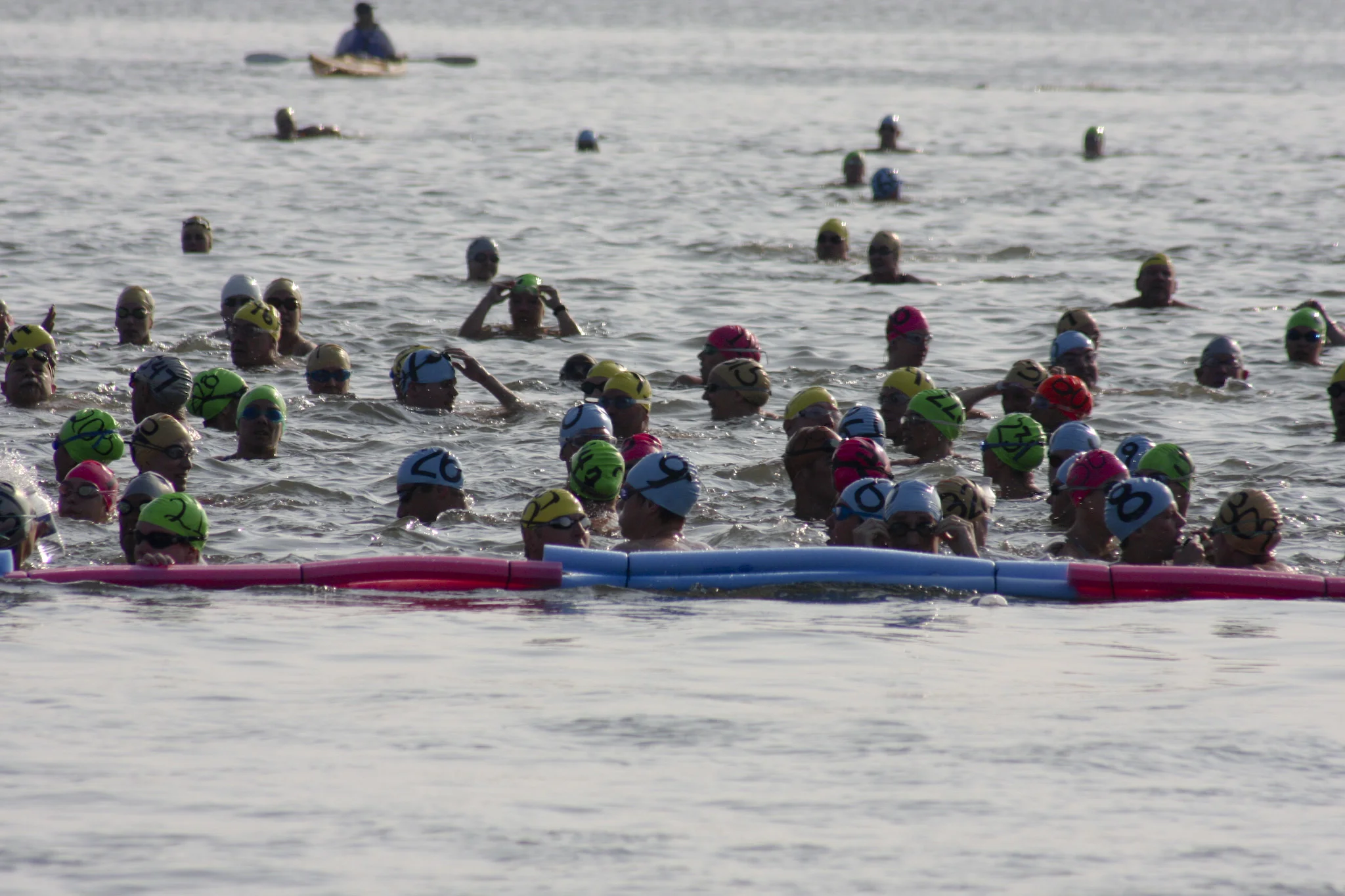 2008_Lowcountry_Splash_Swim_Race_Start_4.jpg