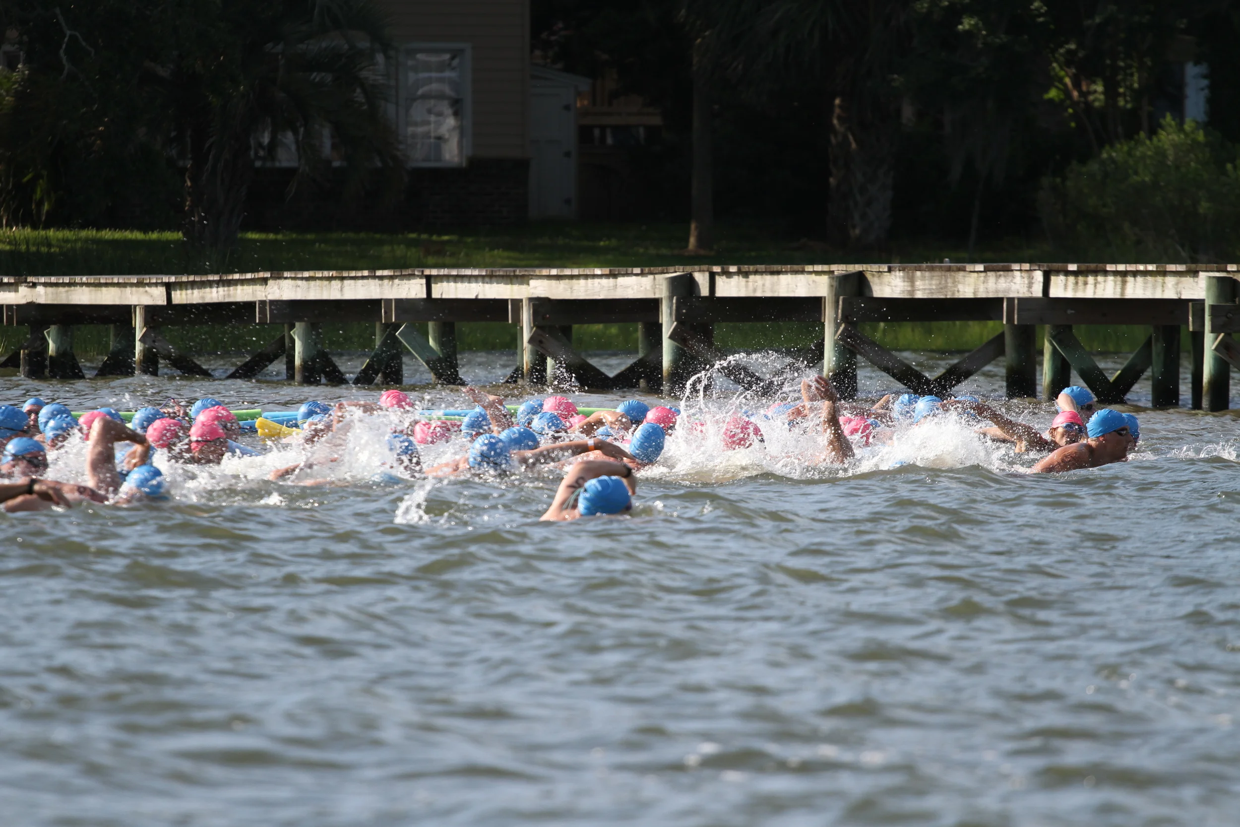 IMG_2260.jpg