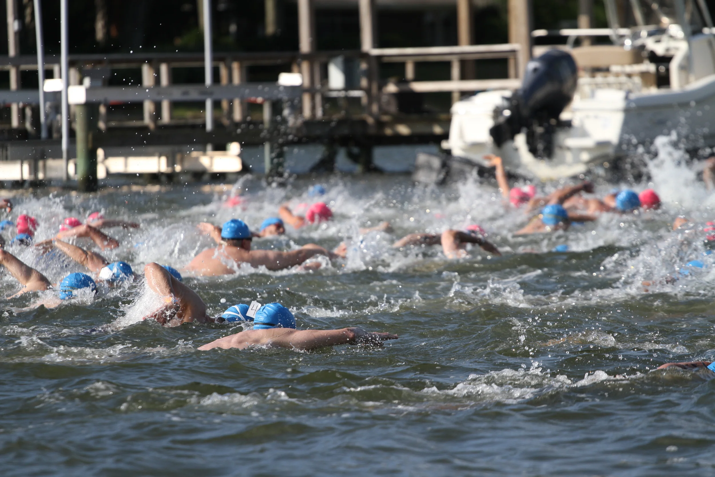 IMG_2336.jpg