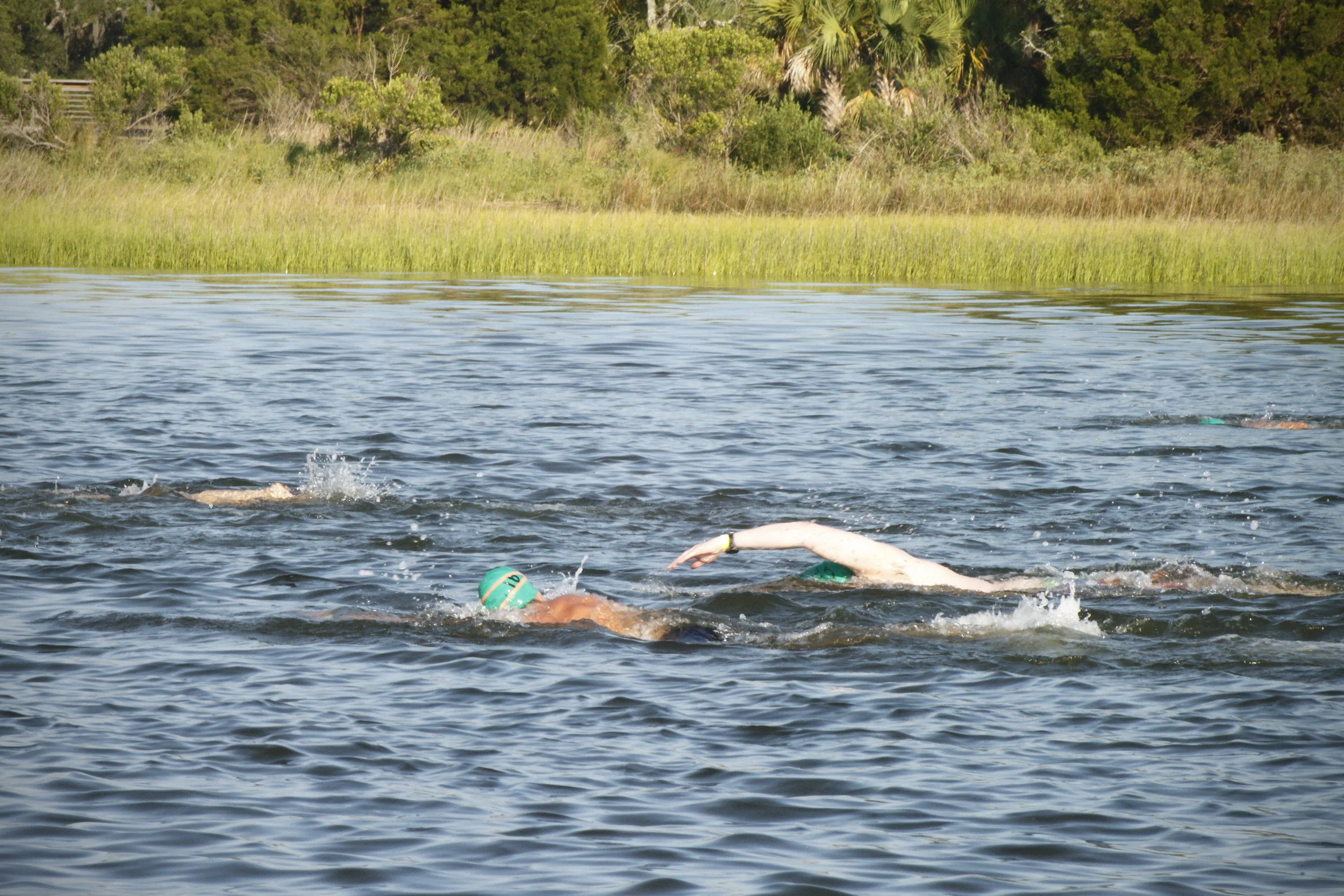 Splash2019 _MG_8478.jpg