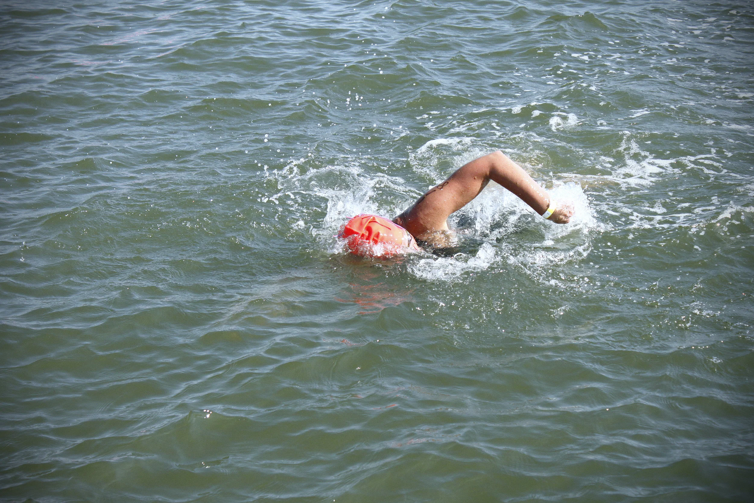 Splash2019 _MG_8950.jpg