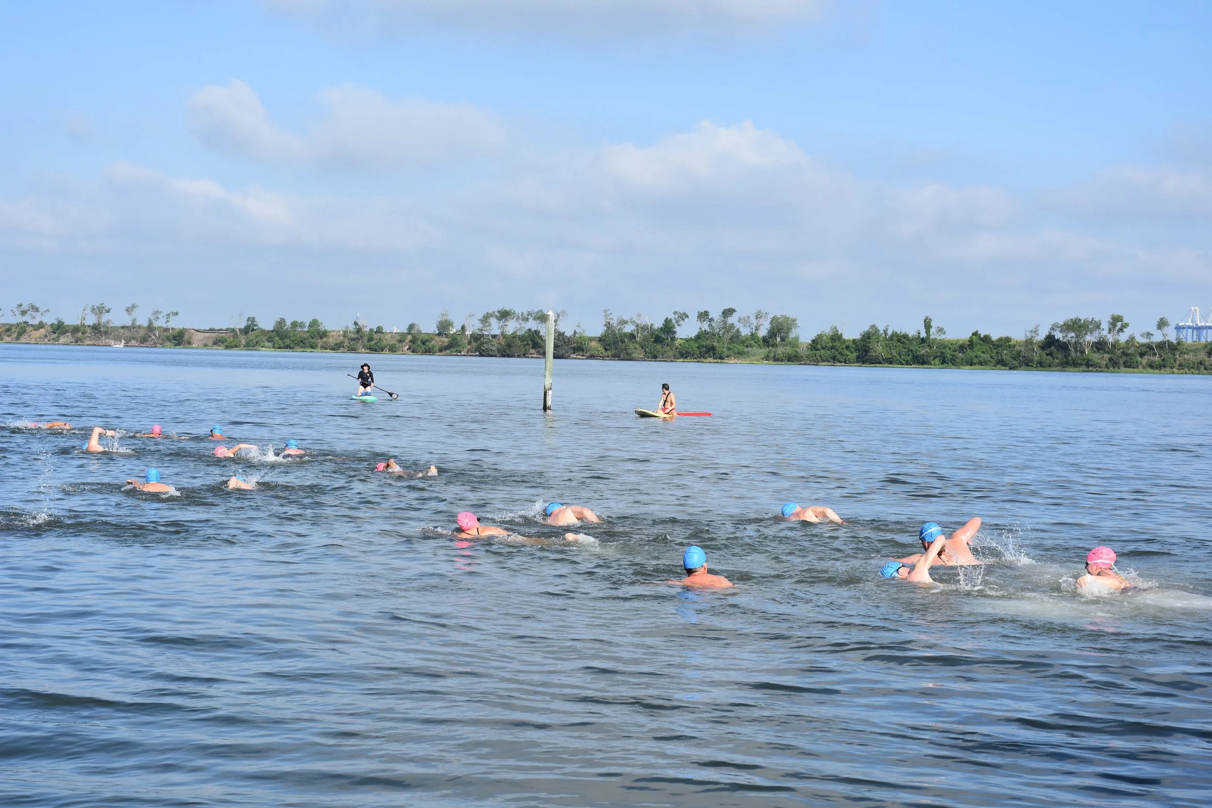DSC_4305.JPG