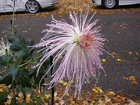 1_DSC00158.jpeg