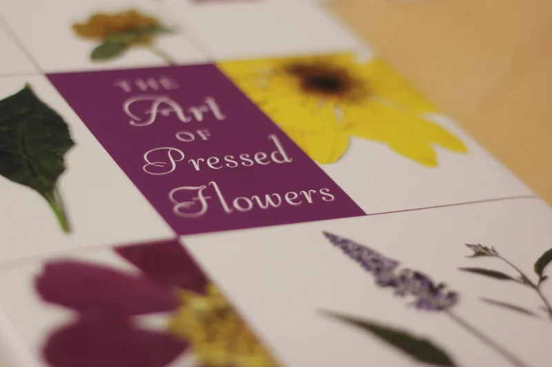 Flower0006.JPG