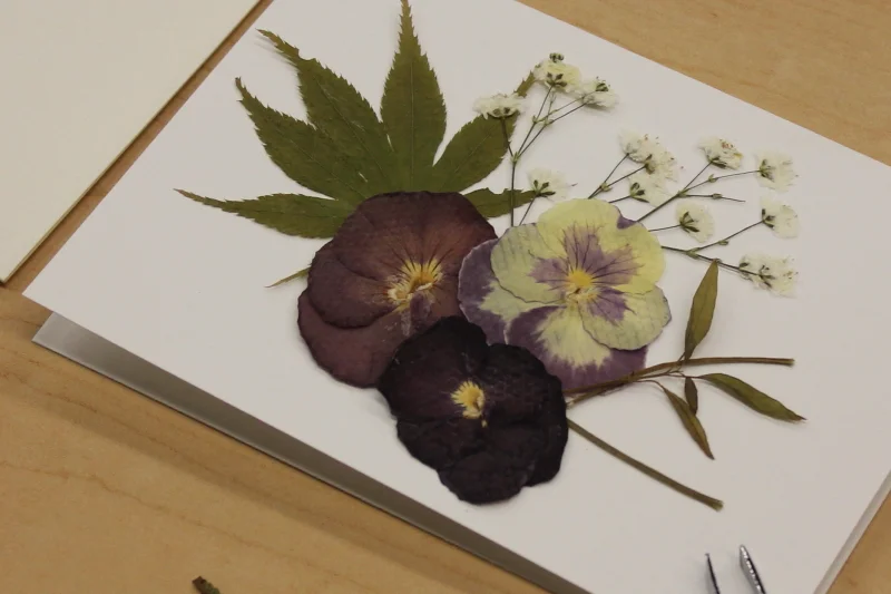 Flower0013.JPG