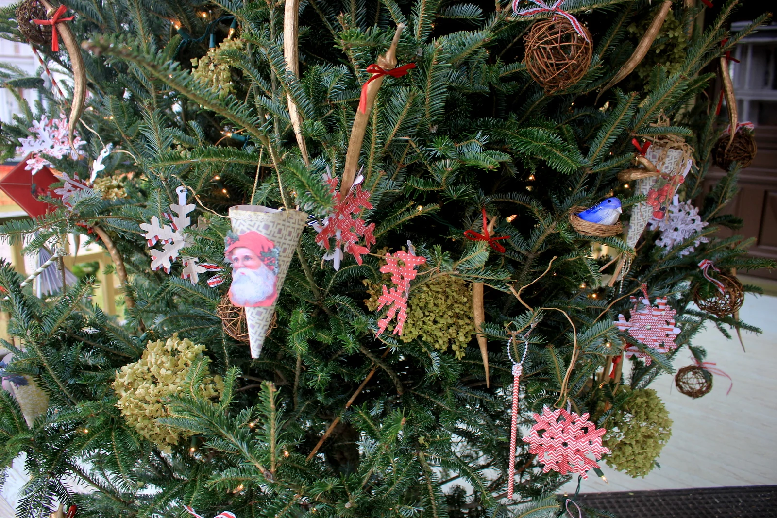 55-IMG_4830.JPG