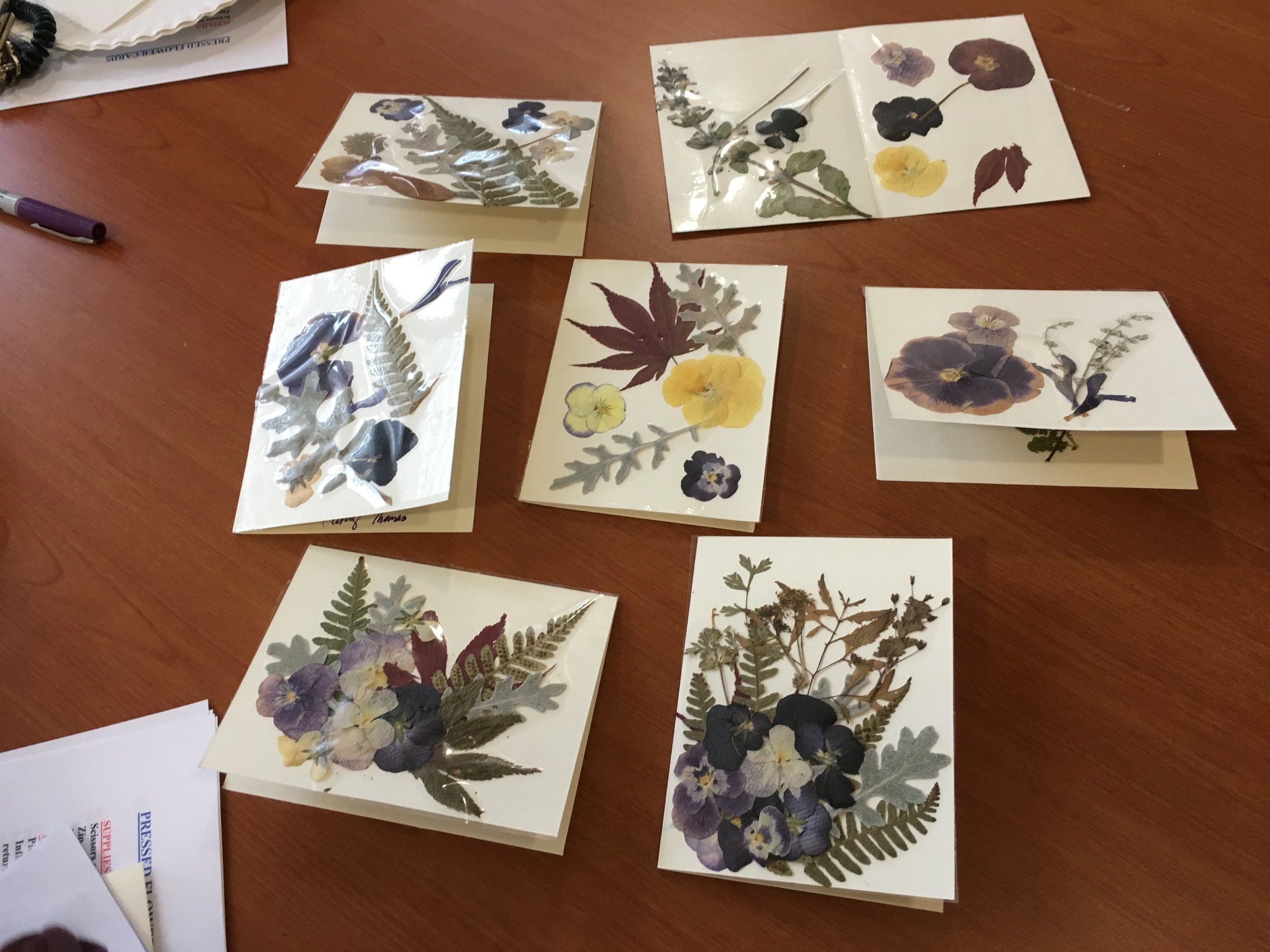 Pressed flowers 4 spring 2017.jpg