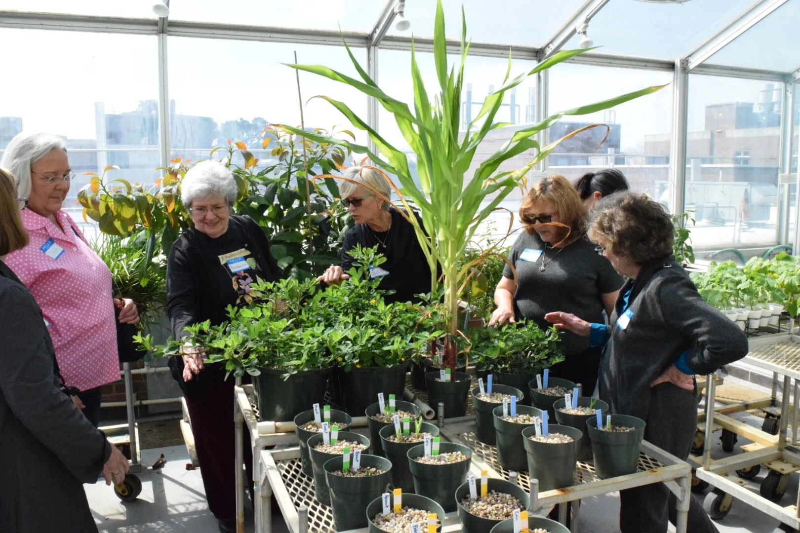 Barbara Beth at Phytotron.JPG