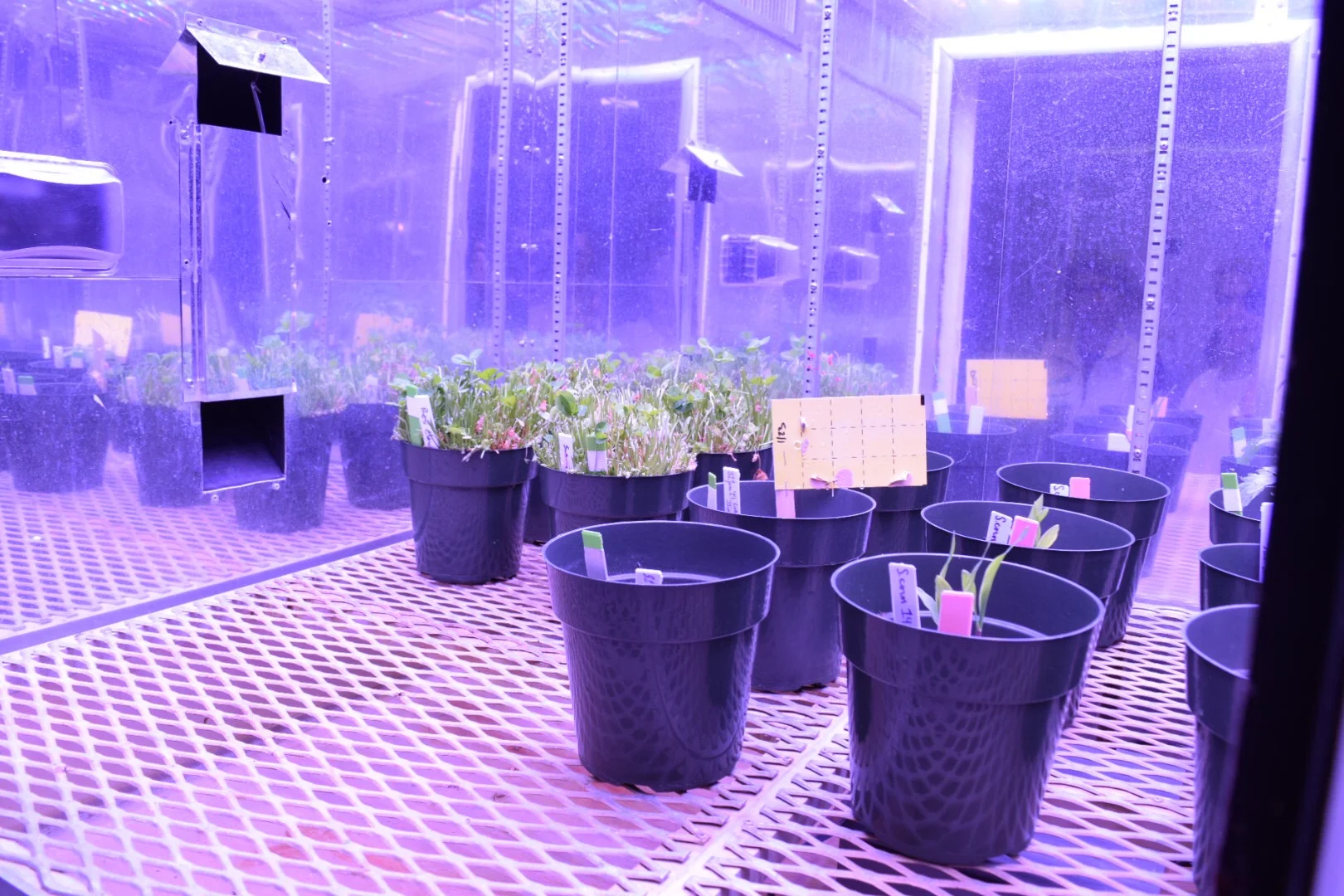 Growth Chamber at NCSU Phytotron 2.JPG