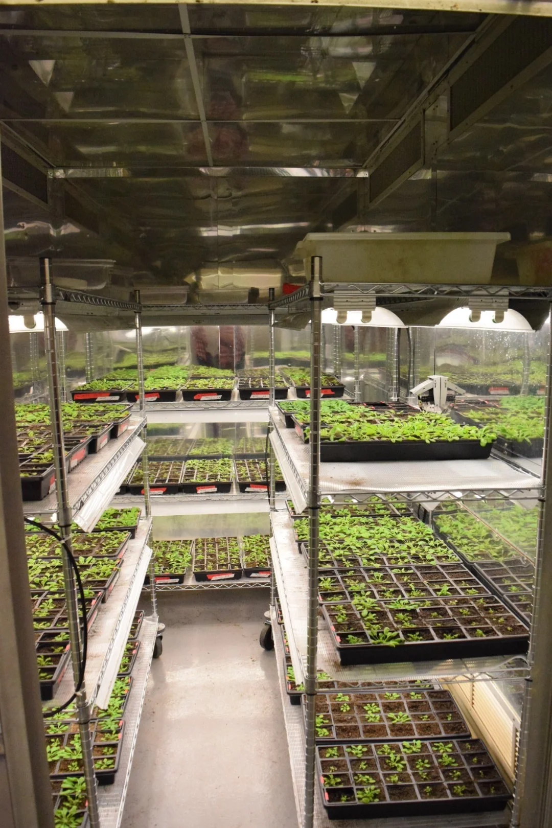 Phytotron Tour Spring 2017.JPG