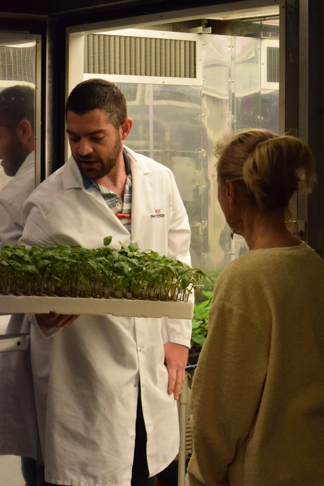 Strawberry Experiment at Phytotron.JPG