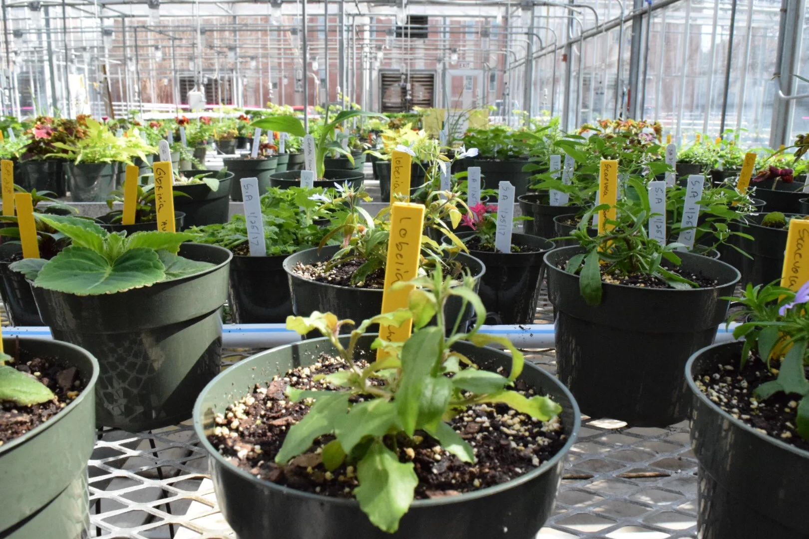 Student Projects NCSU.JPG