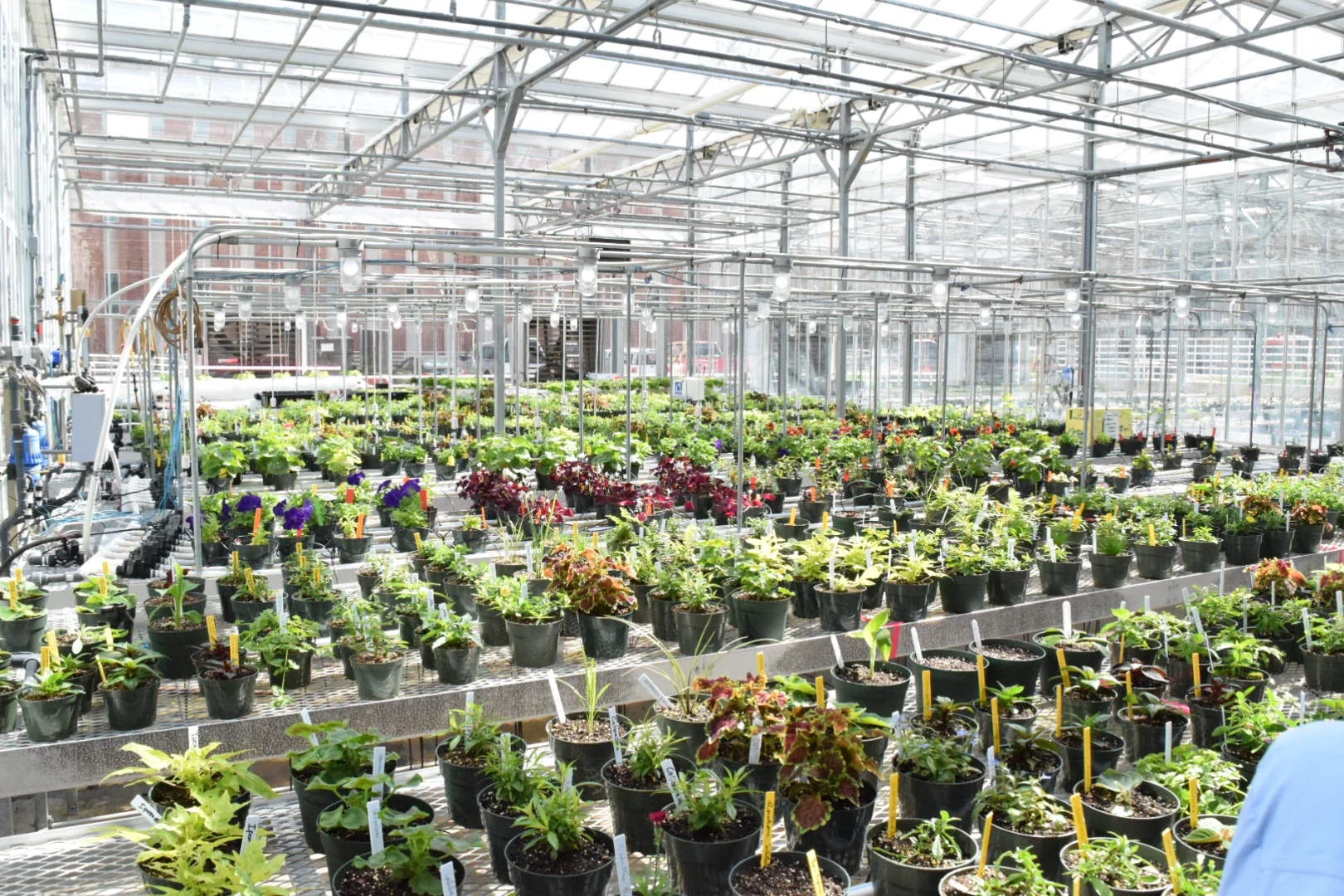 Student Research .JPG