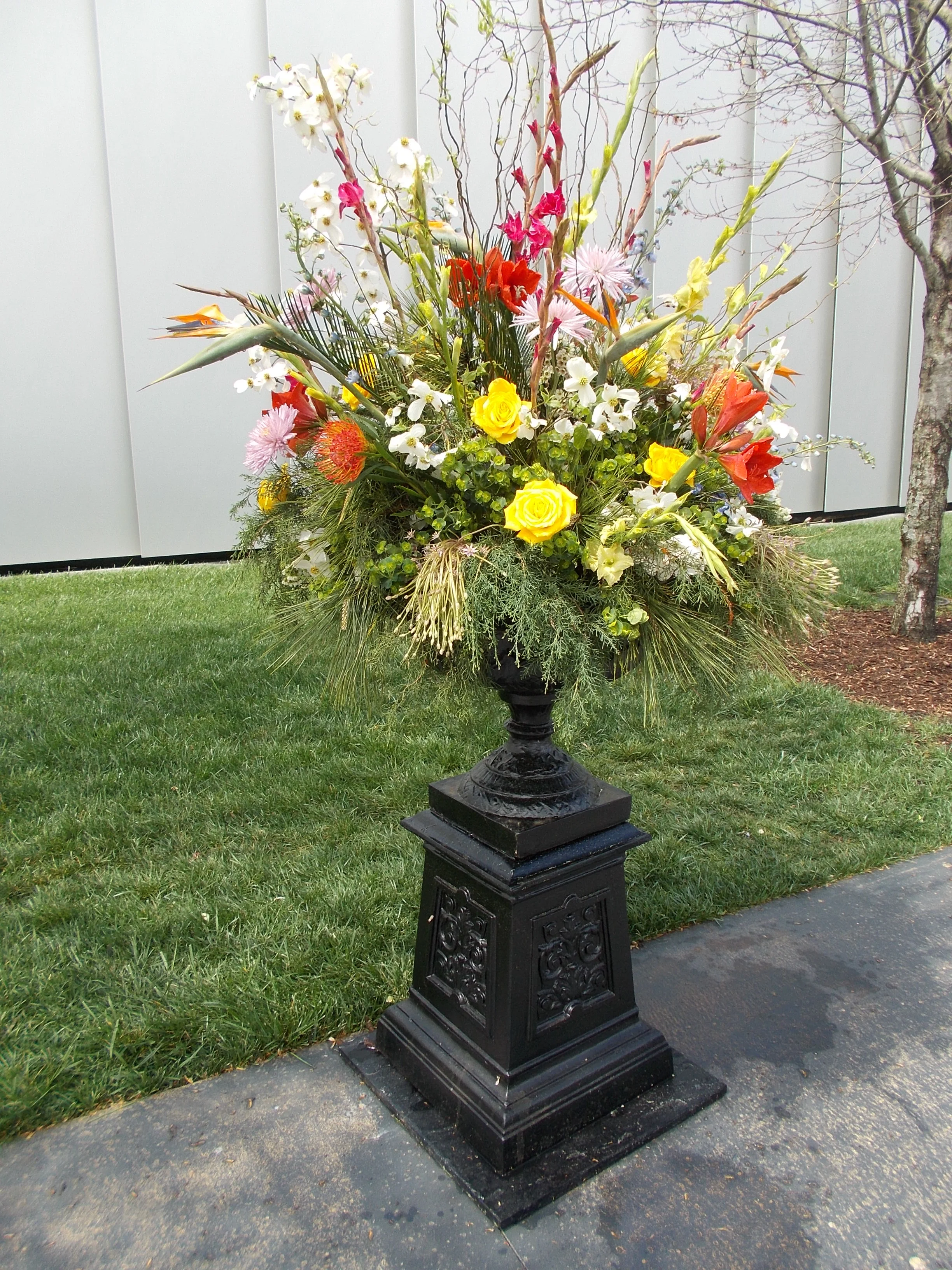 DSCN1084.jpg