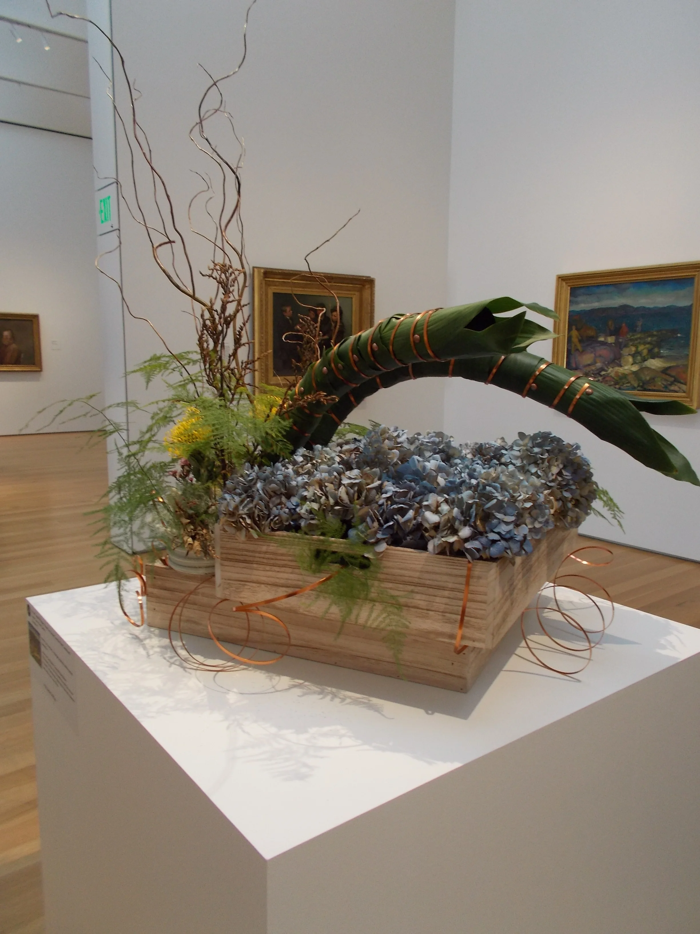 DSCN1105.jpg