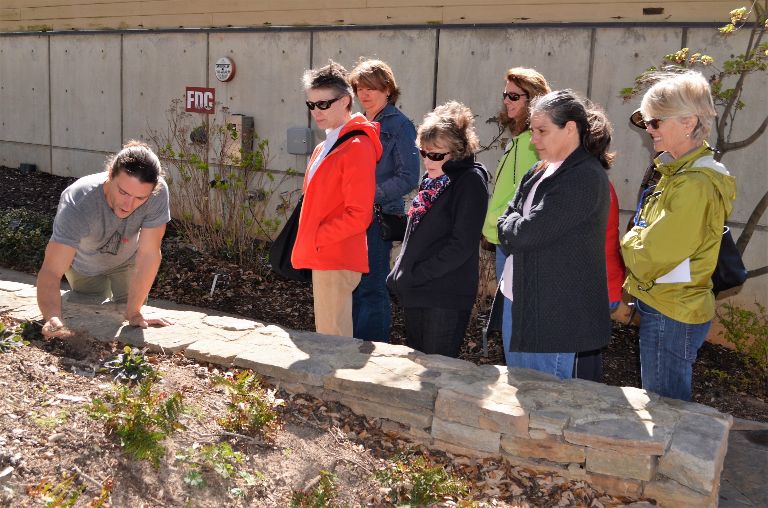 Planting medium at JCRA.jpg