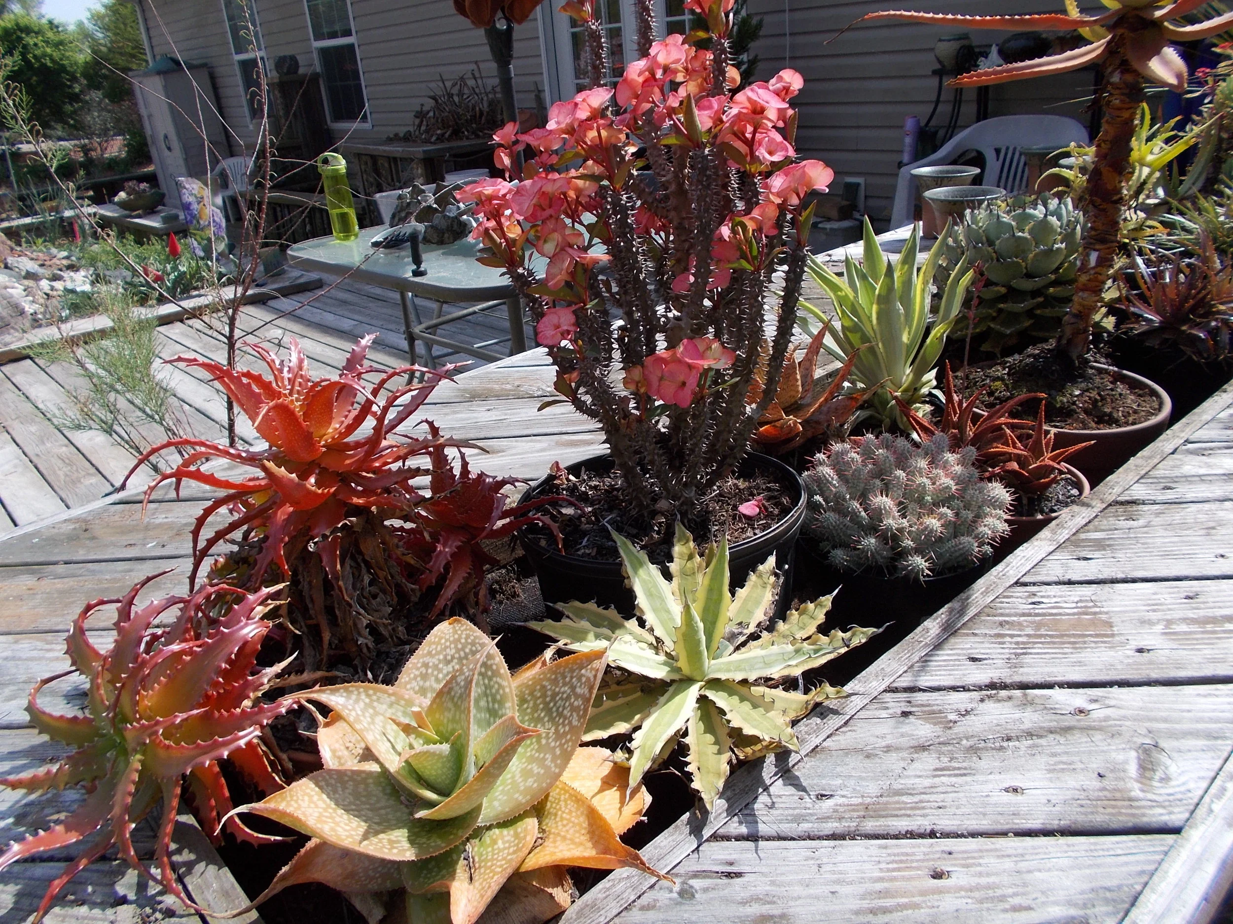 DSCN1158.jpg