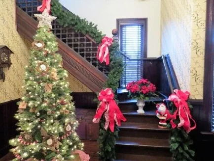 Polk House 2016 Tree.jpg