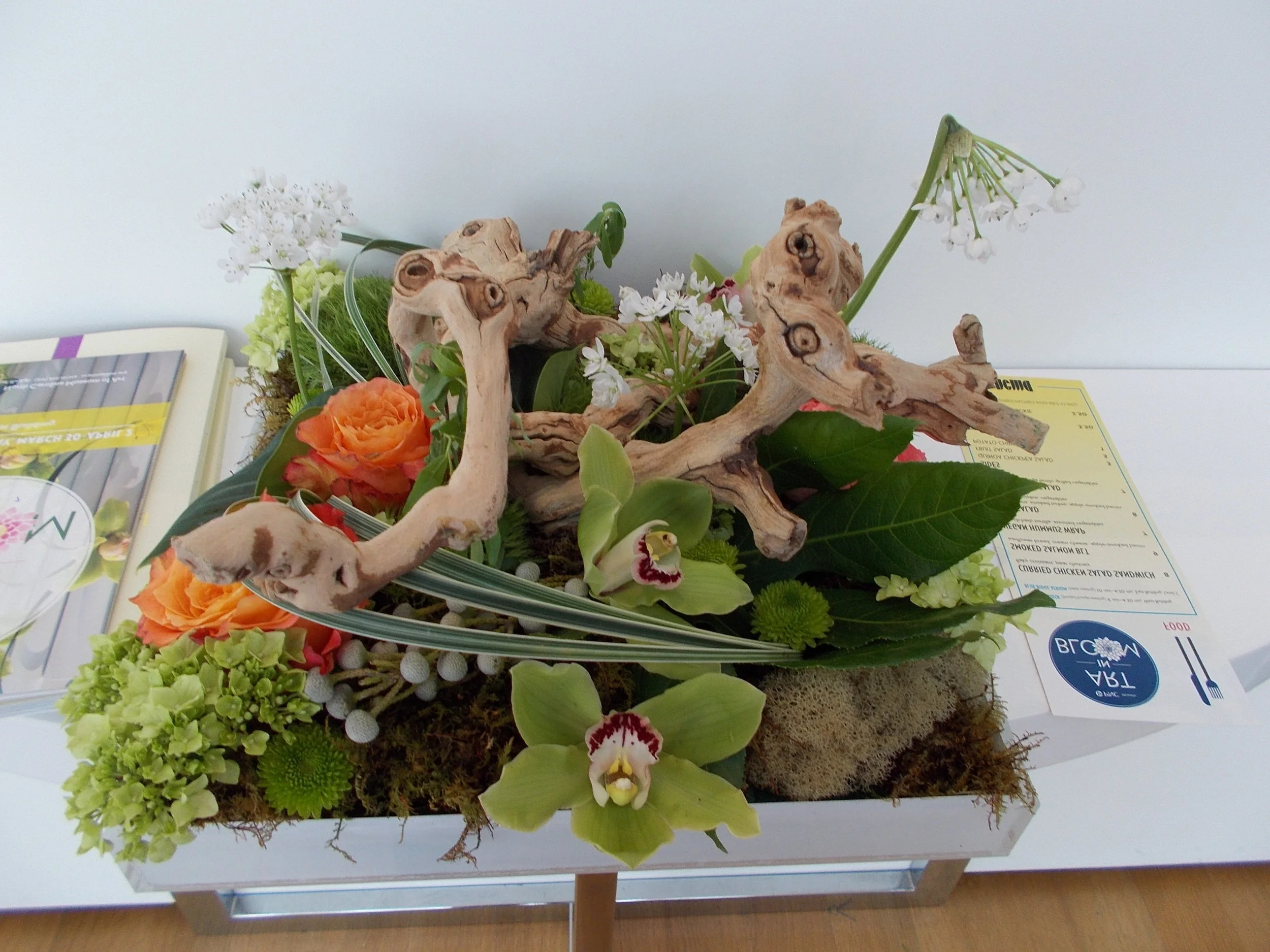 DSCN1087.jpg