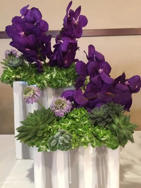 Steve Taras Arrangement 3.jpg