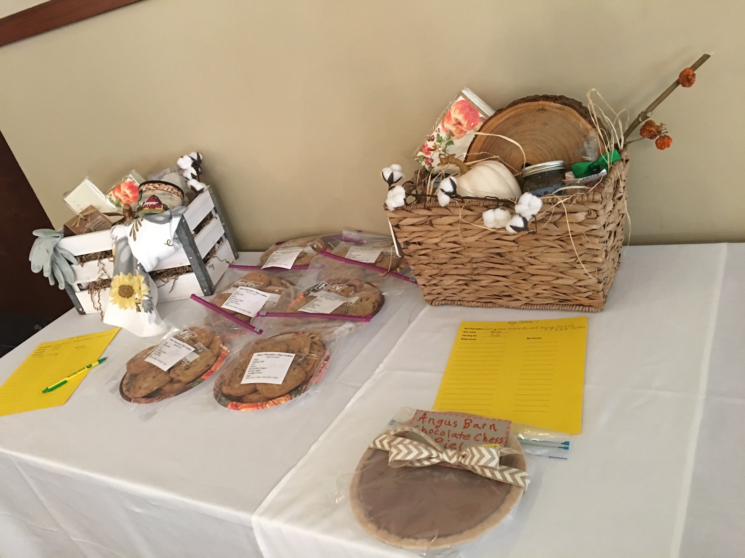 Nov 2018 Silent Auction 3.JPG