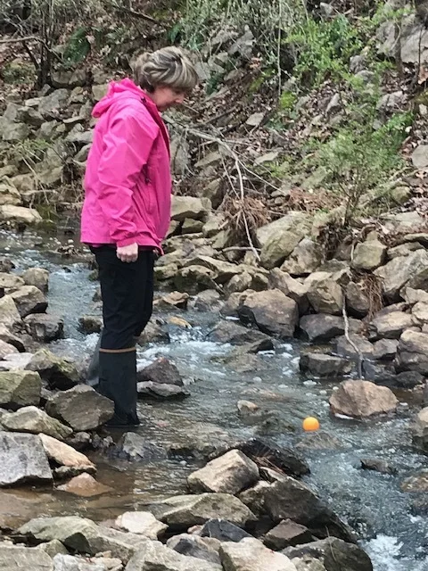 2019 Prairie Ridge Streem Water Quality.jpg