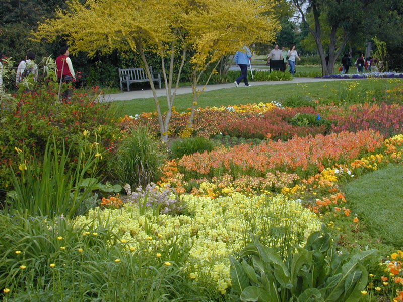 Huntington Gardens in San Marino, CA Photo credit: Ucla90024 - Own work, CC BY 3.0, https://commons.wikimedia.org/w/index.php?curid=4048824
