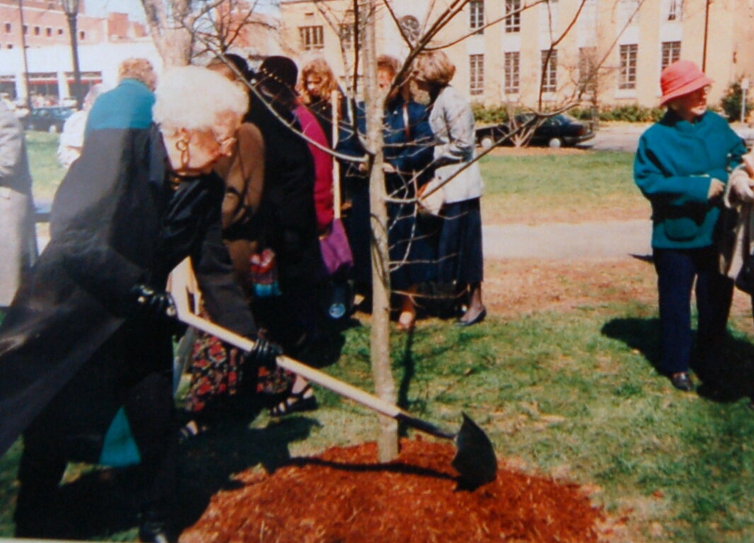 Marge plants a memorial Oak tree in Moore Square Park on Arbor Day.