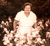 Henderson with Hybrid Irises – mid 1950’s