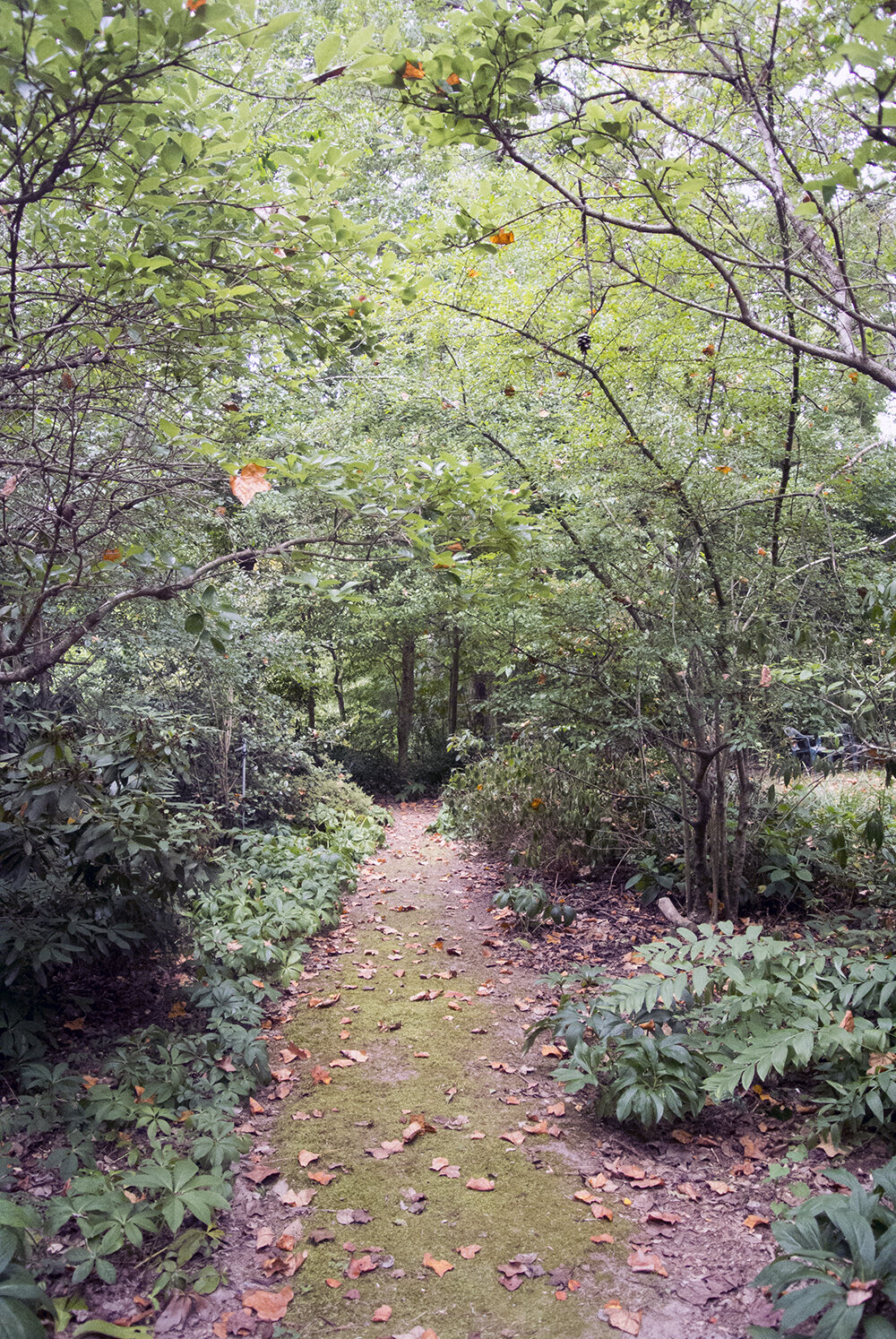 Reid Wildflower Garden Trail