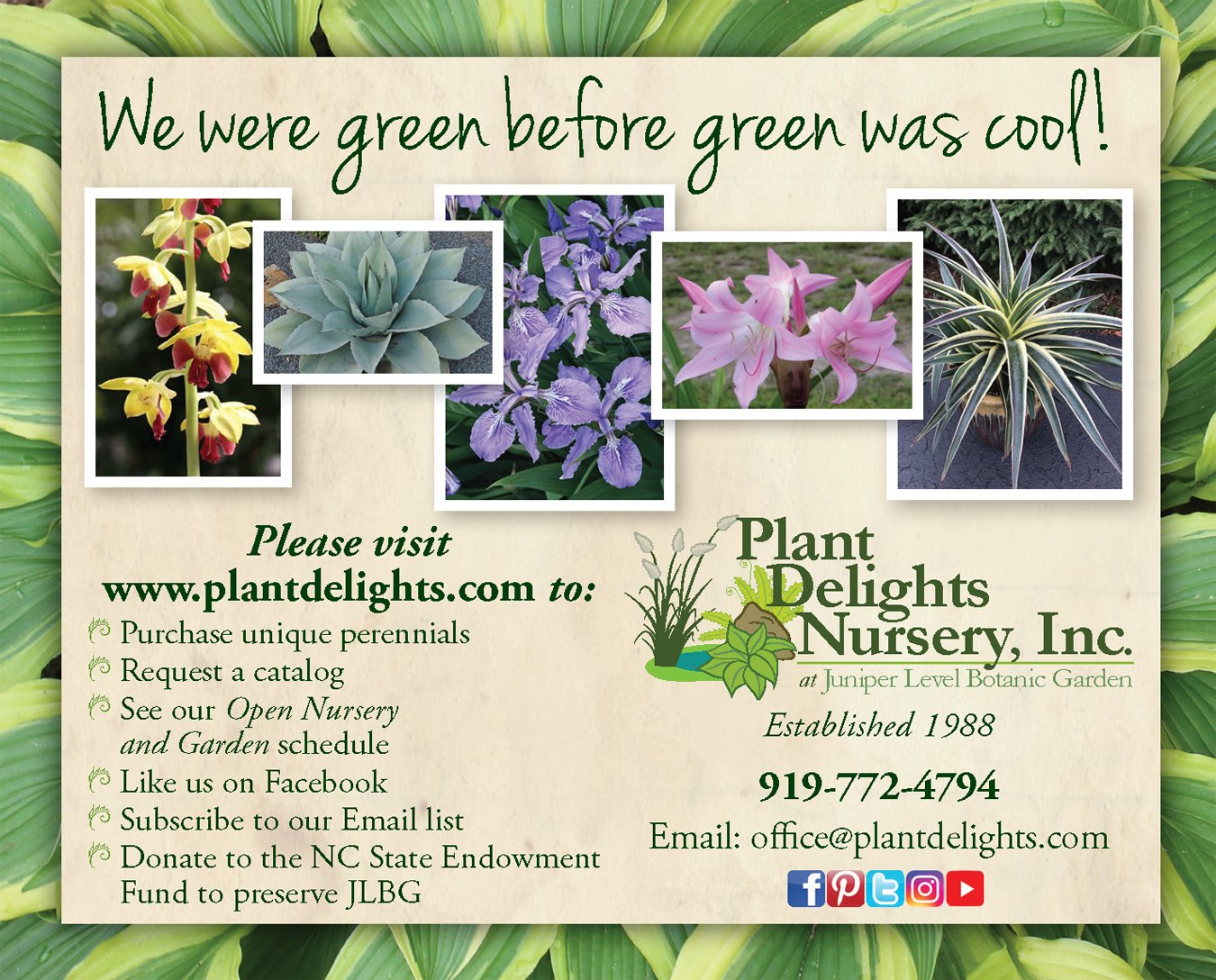Plant Delights Nursery_2021 Raleigh Garden Club_edited-1.jpg