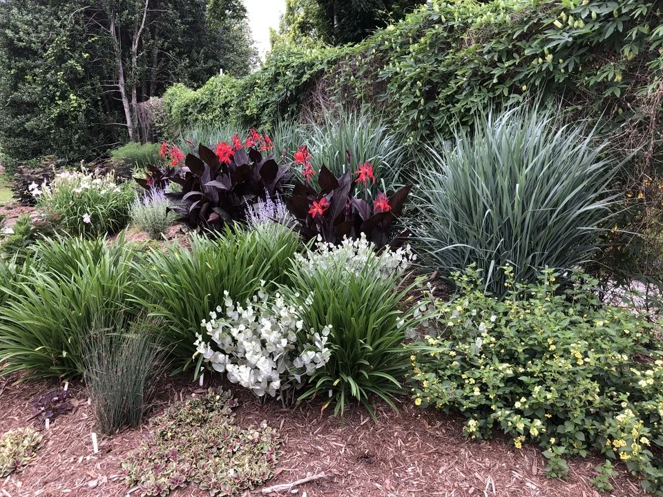 May 6- Rooted in Place: The Potential of Public Landscapes by Katie Pollok and Lauren Faye Welsh