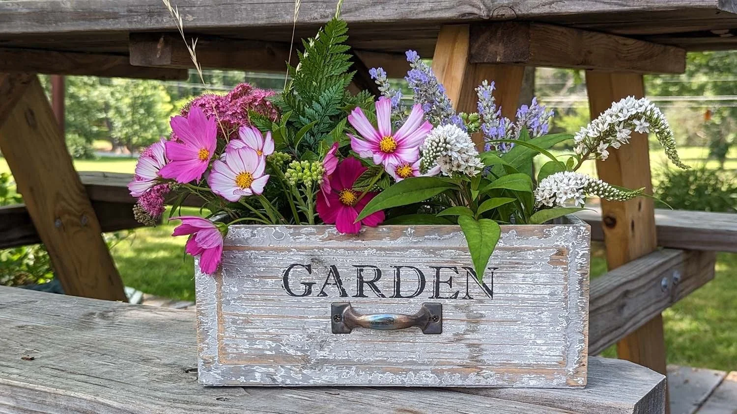 Feb 3- The Healing Power of Plants: Exploring Therapeutic Horticulture by Amy Bruzzichesi