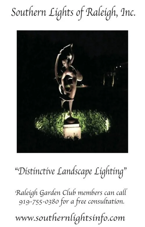 SouthernLights_21.jpg