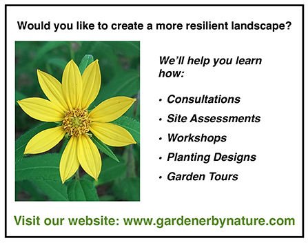 GardenerByNature-2026-halfpage-Color.png