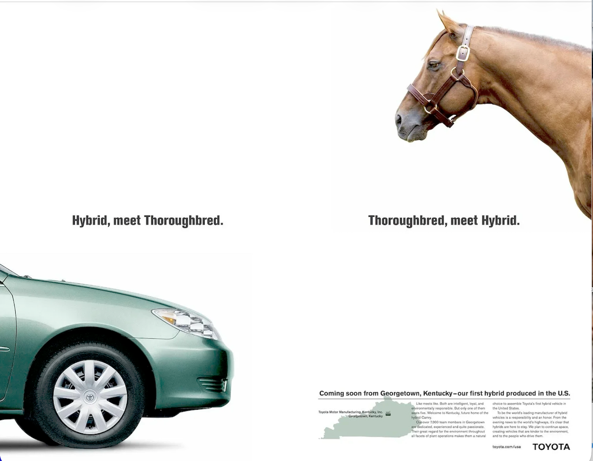 Horse Hybrid.png