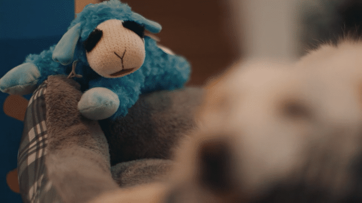 Don't You Want Me-high.gif