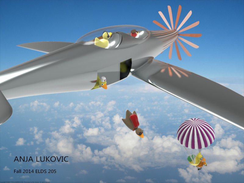 Fall_2014_ELDS205_Anja_Lukovic_Assignment2_ducks_rendering1.jpg