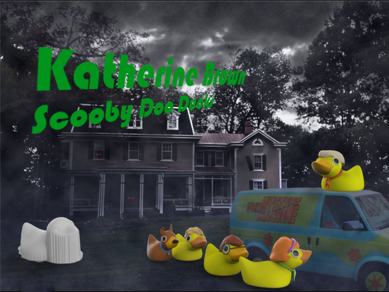 2014_Fall_mtjw245-01_Katherine_Brown_Assignment2_DuckyRendering3 .jpg